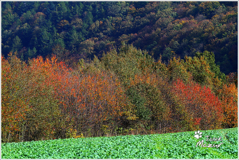 24. Rajd Dolnośląski w obiektywie 