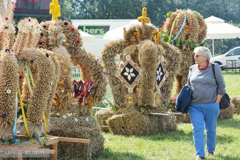 Gminne dożynki w Brodnie