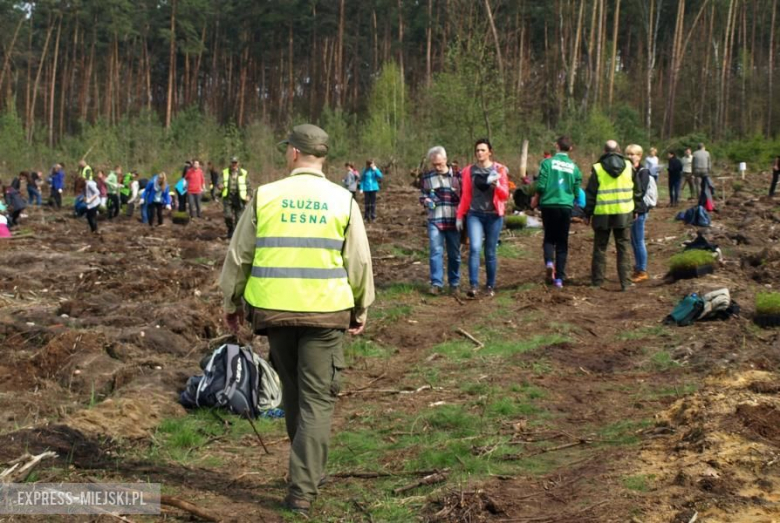 Święto Lasu w Mrozowie