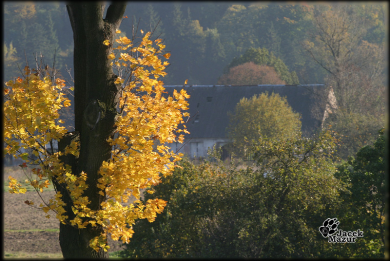 20. Rajd Dolnośląski