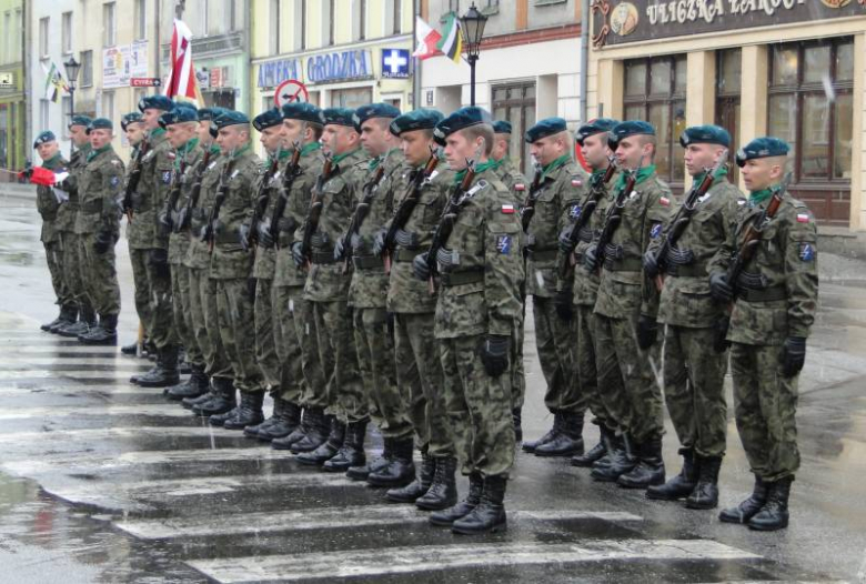 3 maja 2011 w Środzie Śląskiej