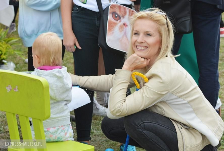 Gminne dożynki w Brodnie