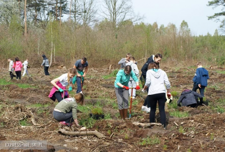 Święto Lasu w Mrozowie