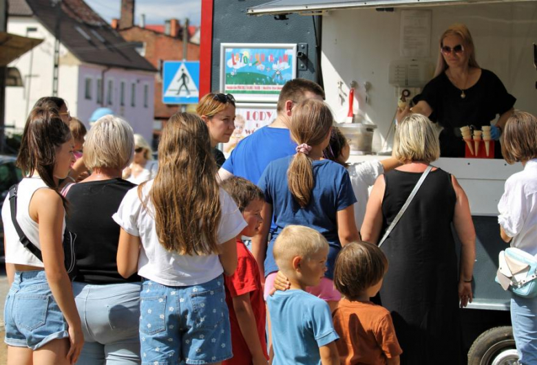 Lato z Komarami w Malczycach