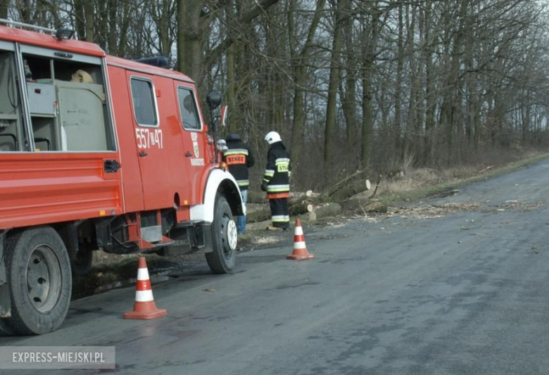 Powalone drzewo koło Karczyc