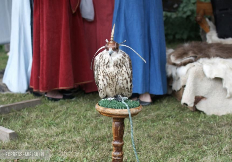 Turniej rycerski w Wojnowicach