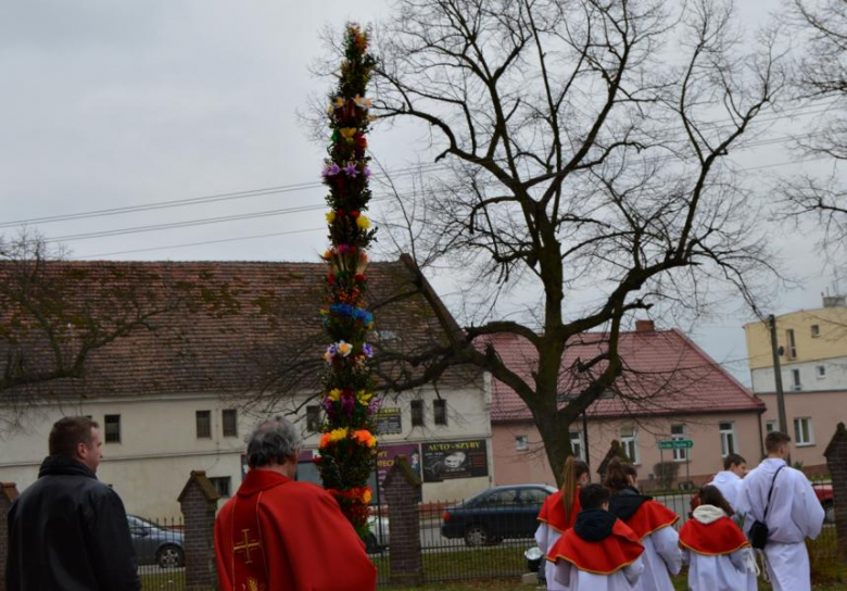 Zrobili wielką palmę wielkanocną w Szczepanowie