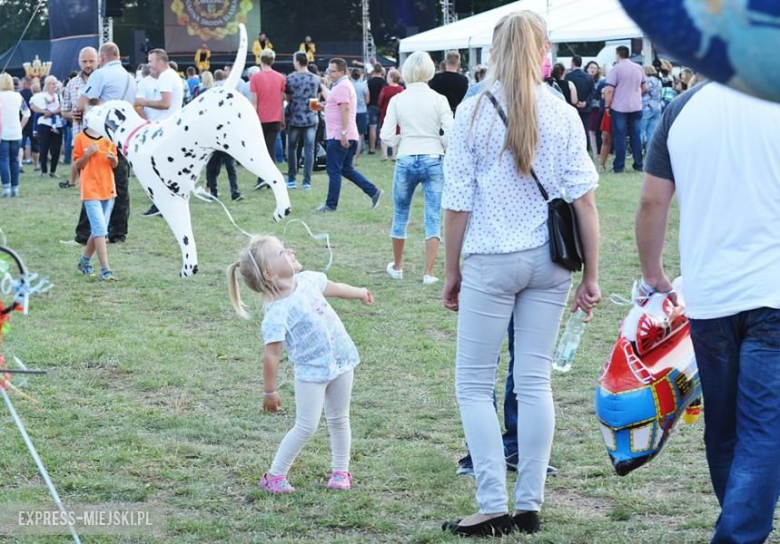 Gminne dożynki w Brodnie