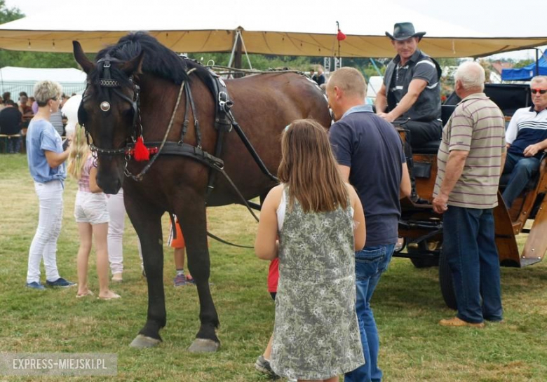 Gminne dożynki w Rusku