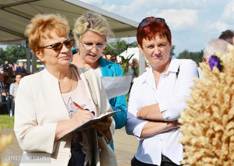 Gminne dożynki w Brodnie