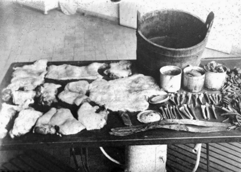 Zbrodnie na slajdach