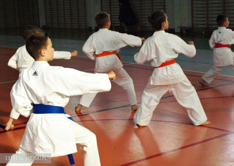 Karate Budokan sekcja Środa Śląska