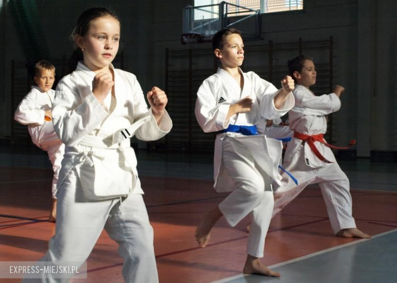 Karate Budokan sekcja Środa Śląska