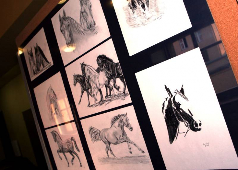 Siano na siano - koncert charytatywny w Środzie Śląskiej