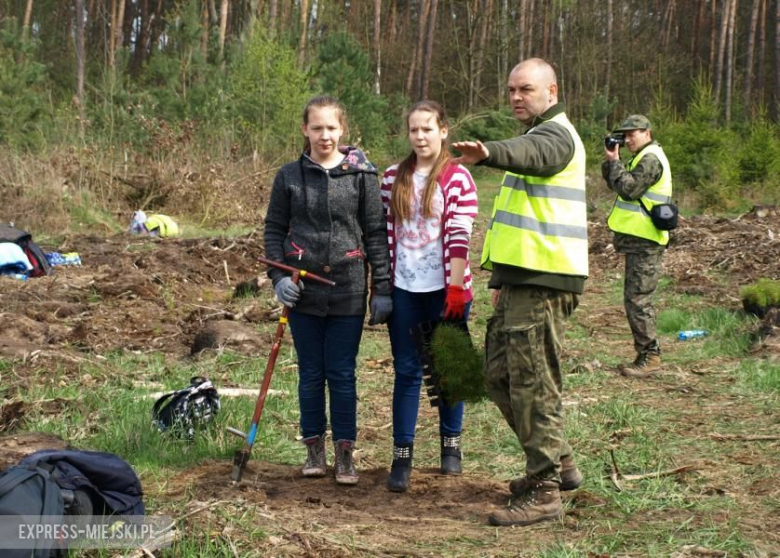 Święto Lasu w Mrozowie