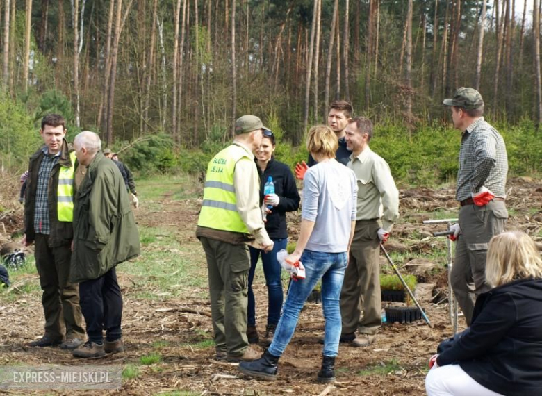 Święto Lasu w Mrozowie