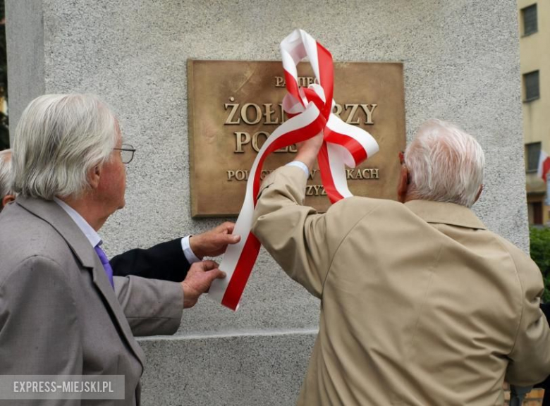 Obchody 3 maja w Środzie Śląskiej