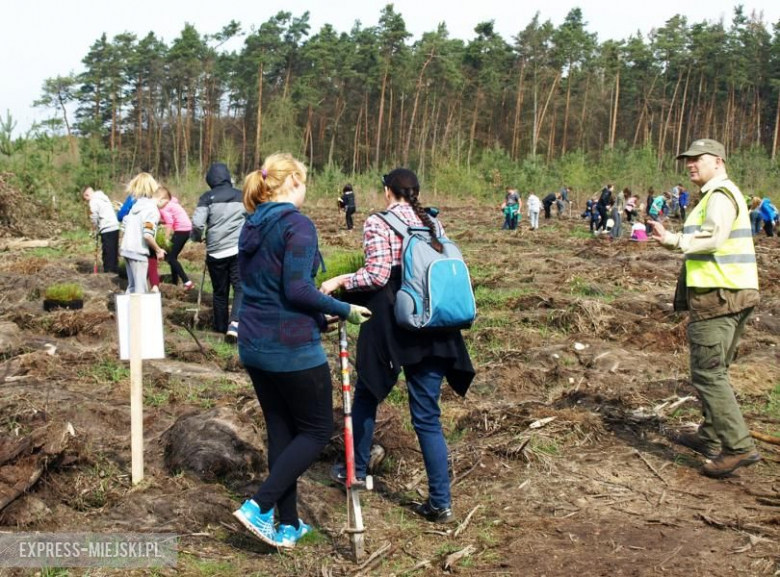 Święto Lasu w Mrozowie