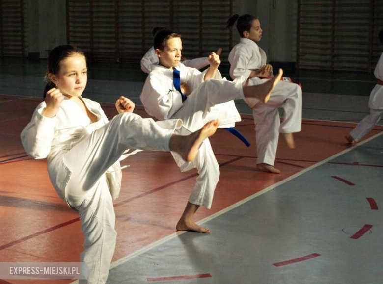 Karate Budokan sekcja Środa Śląska