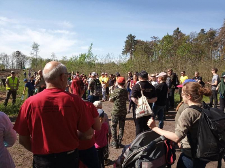 Sadzenie lasu we Wróblowicach