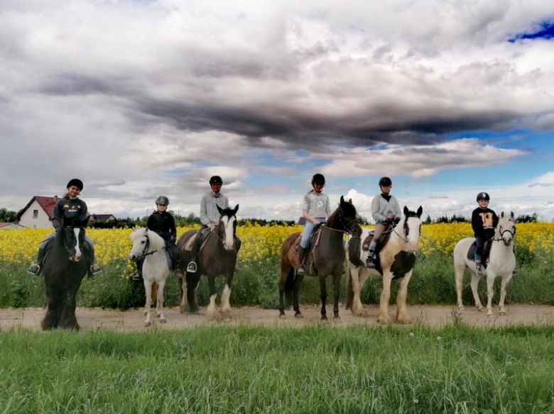 Stajnia Ardena w Gałowie