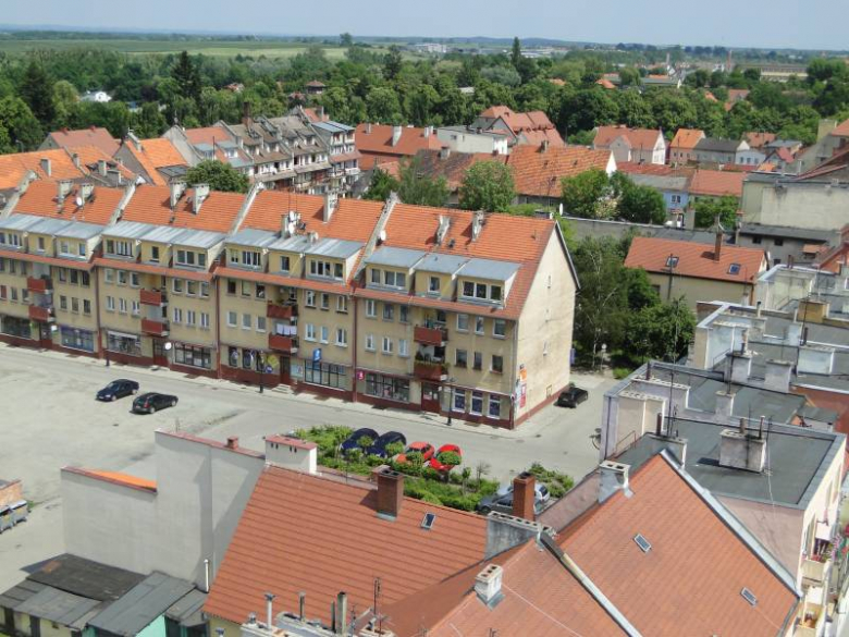 Otwarcie wieży widokowej w Środzie Sląskiej