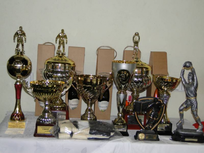 Mistrzostwa Radnych Dolnego Śląska w Halowej Piłce Nożnej