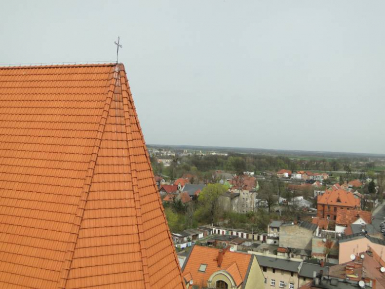 Środa Śląska - widok z wieży