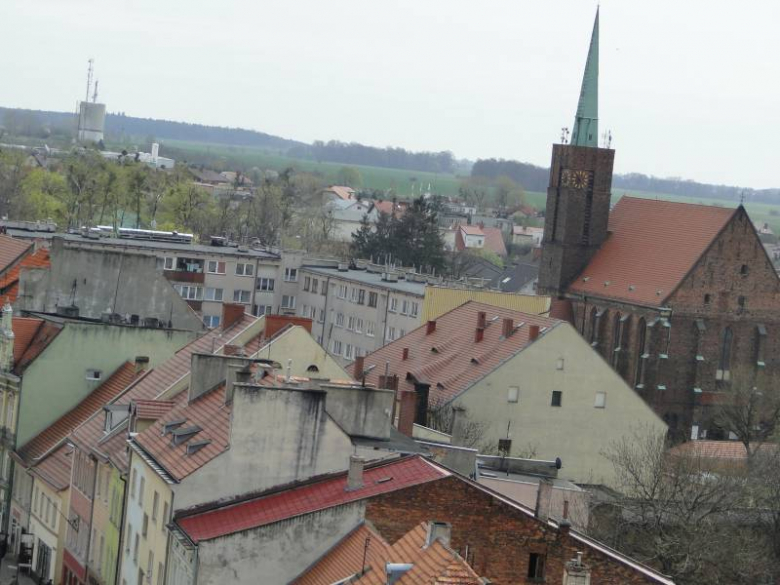 Środa Śląska - widok z wieży