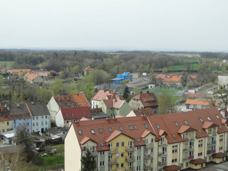 Środa Śląska - widok z wieży