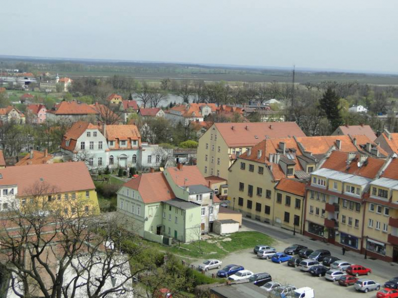 Środa Śląska - widok z wieży