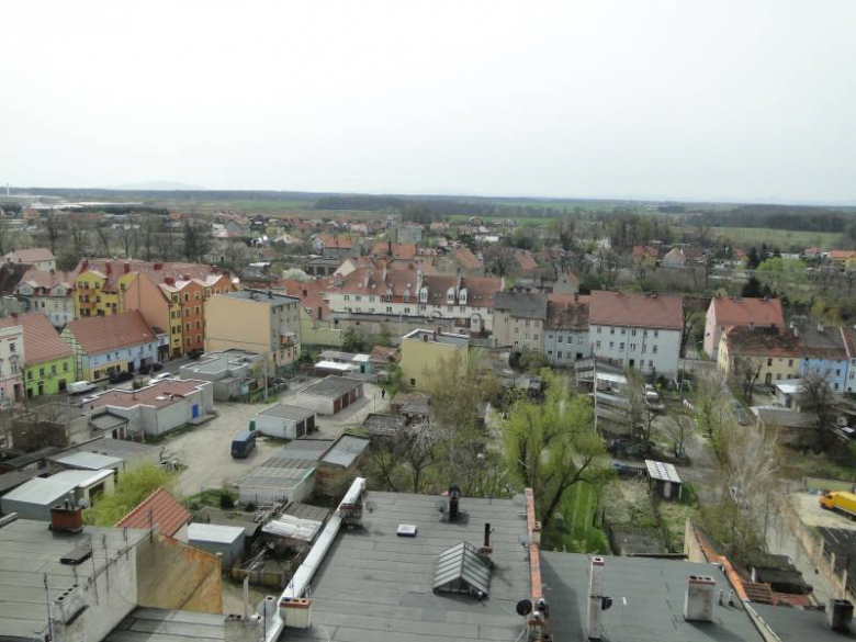 Środa Śląska - widok z wieży