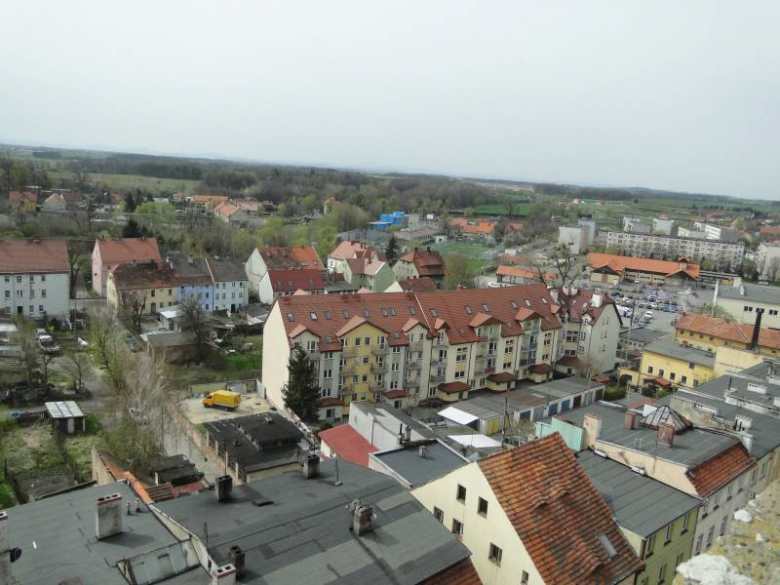 Środa Śląska - widok z wieży