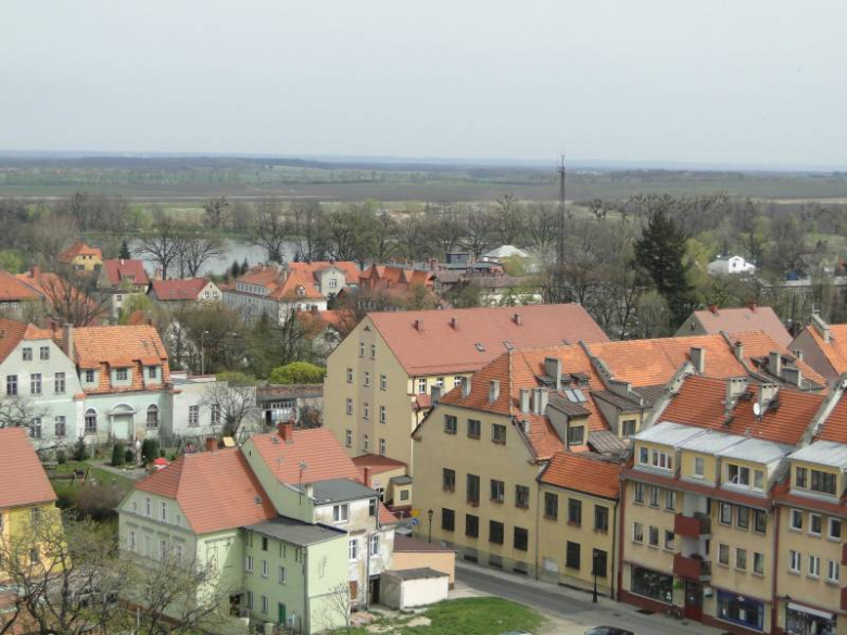 Środa Śląska - widok z wieży