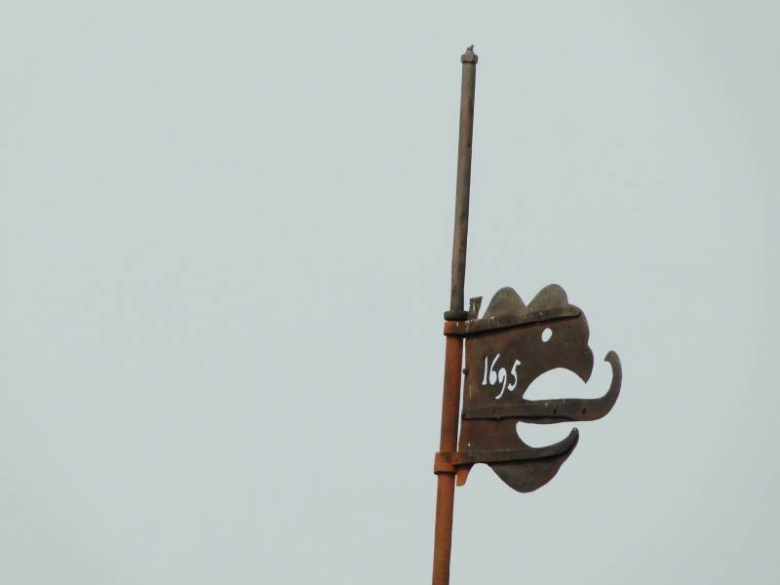 Środa Śląska - widok z wieży