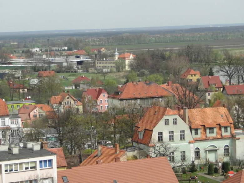 Środa Śląska - widok z wieży