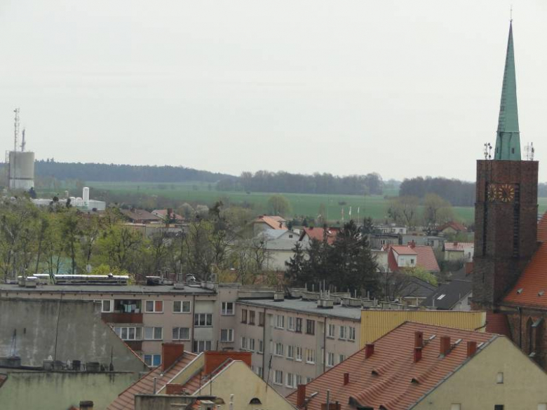 Środa Śląska - widok z wieży