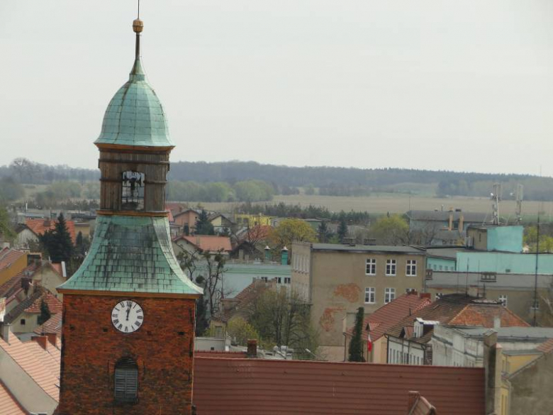 Środa Śląska - widok z wieży