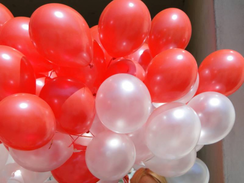 Obchody Dnia Zwycięstwa w Środzie Śląskiej