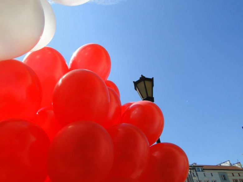 Obchody Dnia Zwycięstwa w Środzie Śląskiej