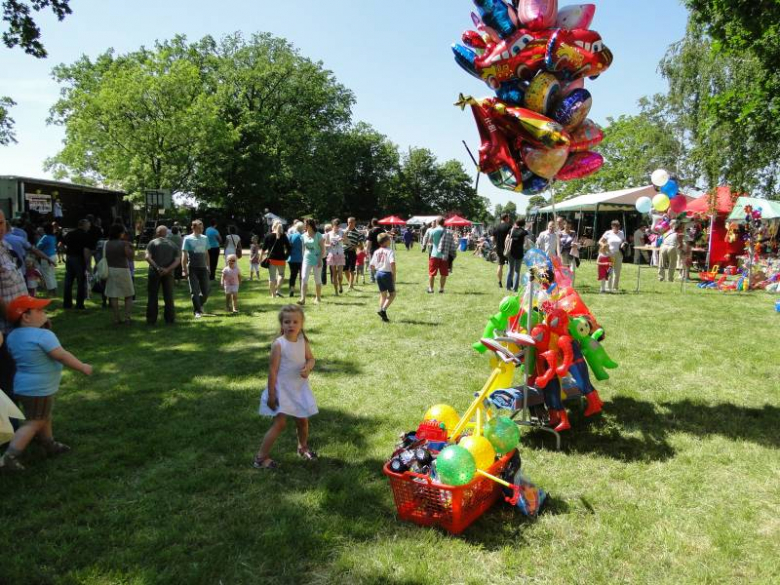 V Charytatywny Bajkowy Piknik Olimpijski 