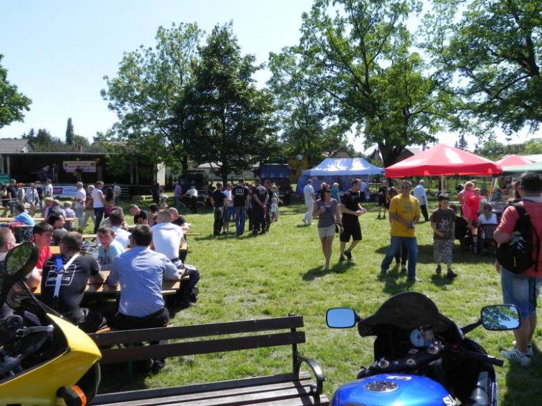 V Charytatywny Bajkowy Piknik Olimpijski 