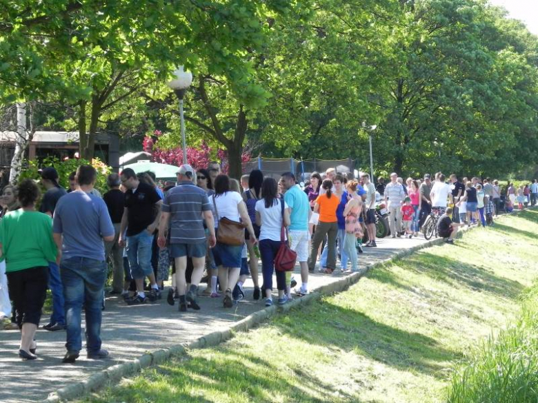 V Charytatywny Bajkowy Piknik Olimpijski 