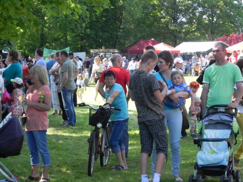 V Charytatywny Bajkowy Piknik Olimpijski 