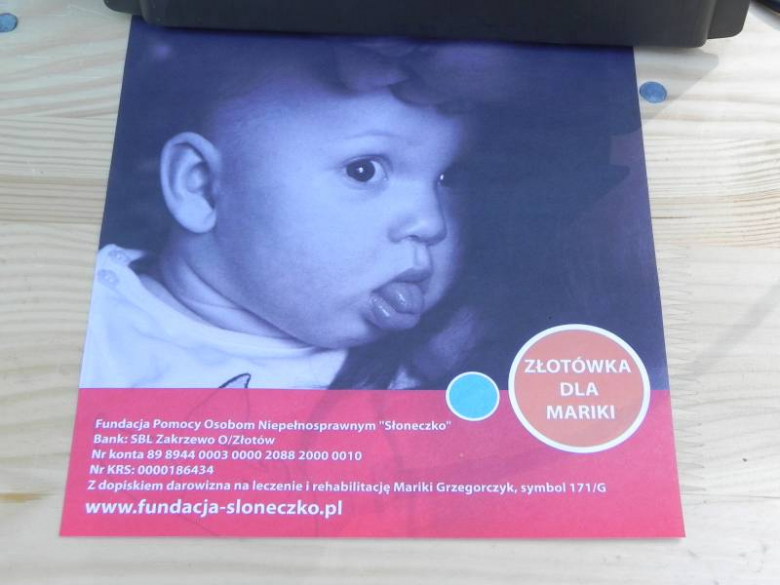 V Charytatywny Bajkowy Piknik Olimpijski 