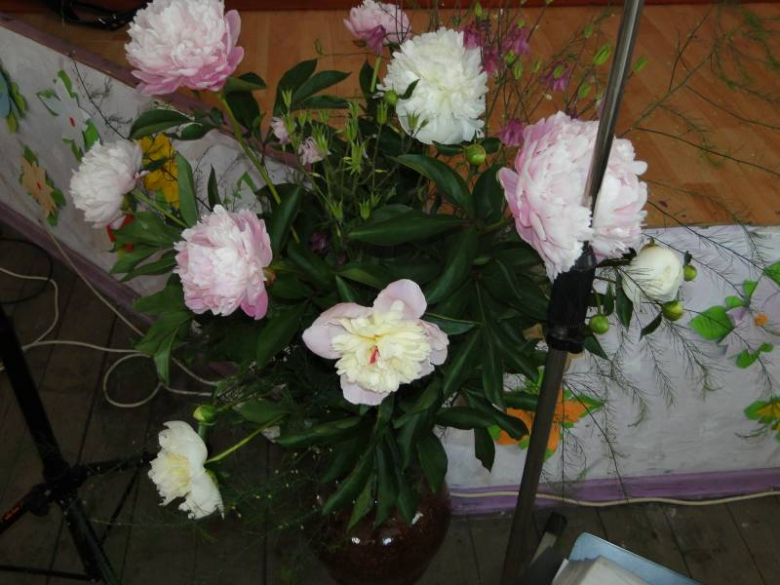 Dzień Matki w Kulinie