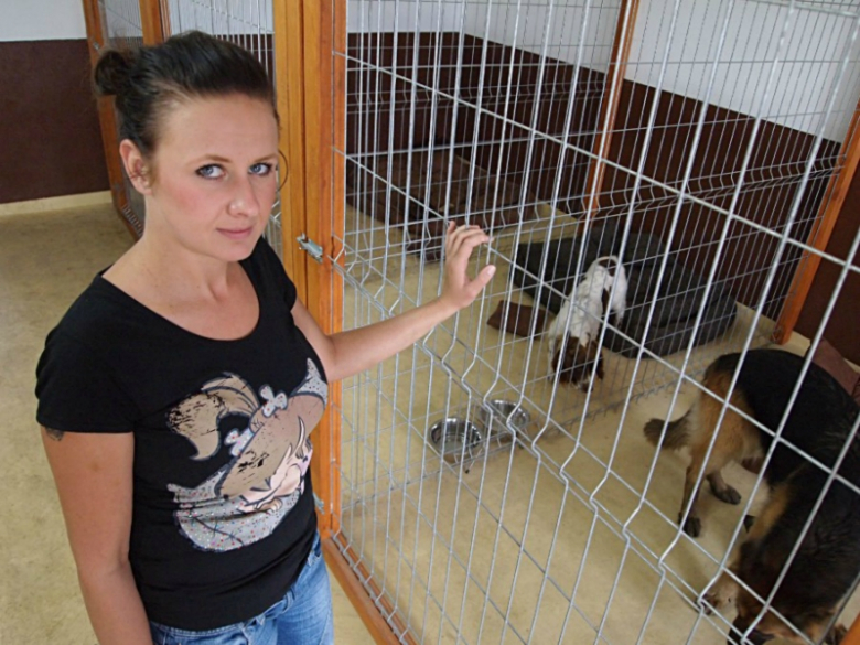 Wyjeżdżasz na urlop - pozostaw psa w hotelu