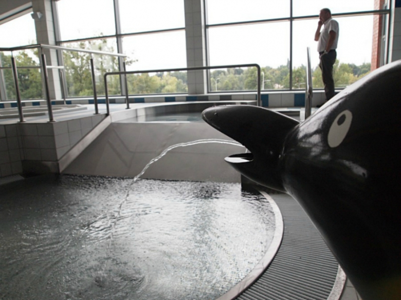 Negocjacje w sprawie cen biletów do Średzkiego Parku Wodnego