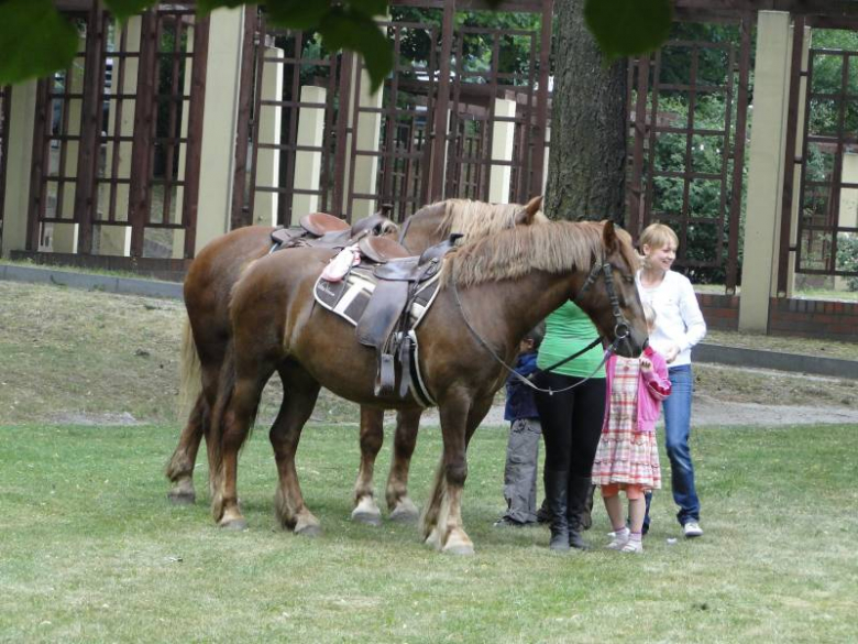 Dzień Dziecka z policją - Środa Śląska 2011