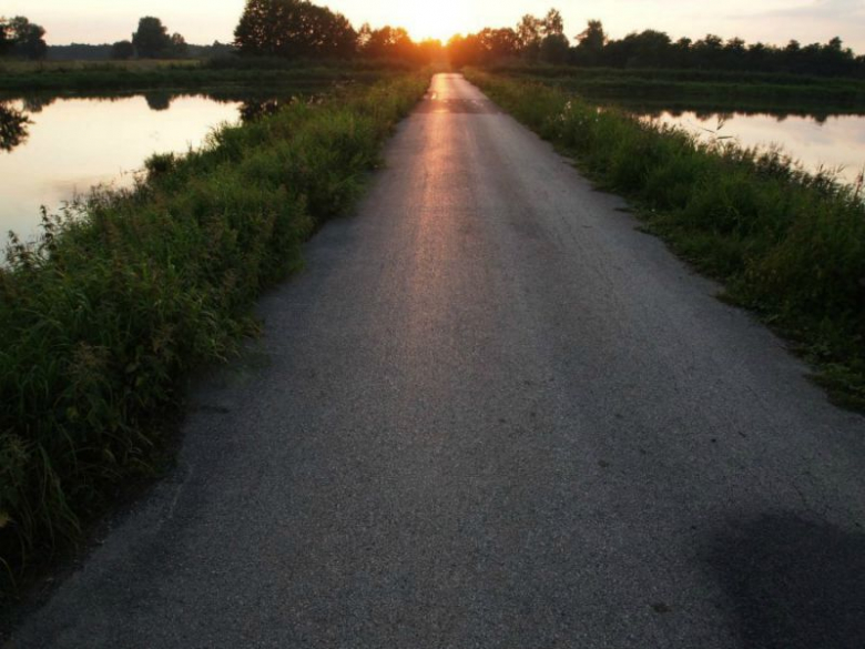 Największym problemem, z jakim spotykają się inspektorzy jest rozjeżdżenie korony wału pojazdami typu quad, samochodami terenowymi i traktorami, które wywożą drewno z lasu